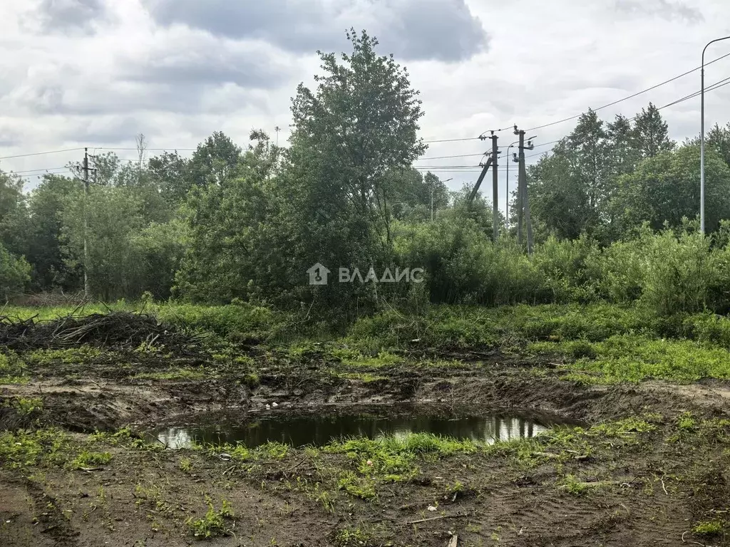 Участок в Калининградская область, Калининград Балтиец СНТ, проезд ... - Фото 2