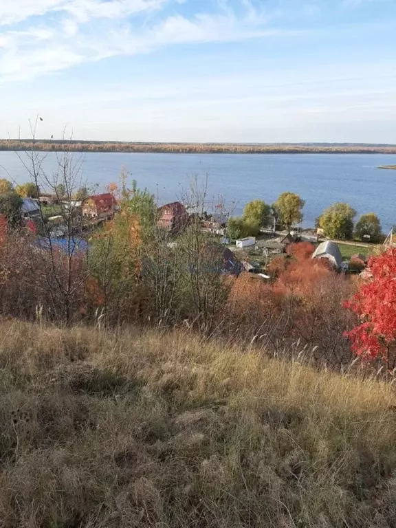 Участок в Нижегородская область, Лысковский район, с. Бармино Полевая ... - Фото 2