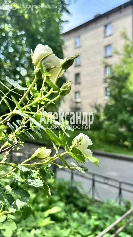 2-комнатная квартира: Санкт-Петербург, улица Маршала Говорова, 26 (42 ... - Фото 1