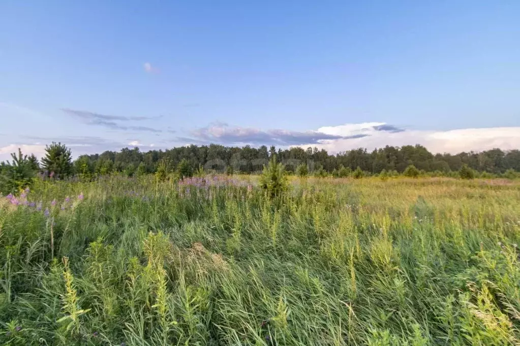 Участок в Тюменская область, Тюменский муниципальный округ, с. ... - Фото 2