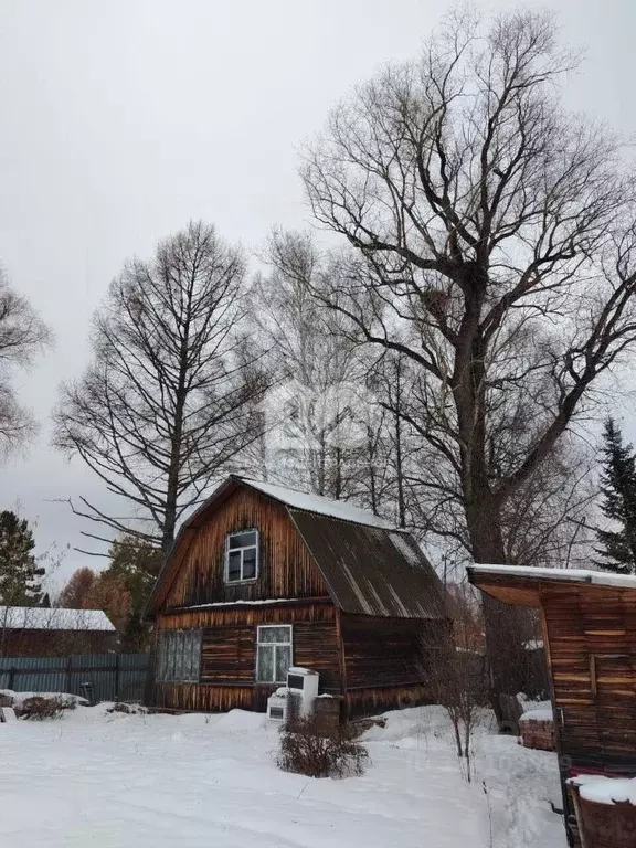 Дом в Новосибирская область, Новосибирск Ивушка СНТ, ул. Новая, 3 (50 ... - Фото 2