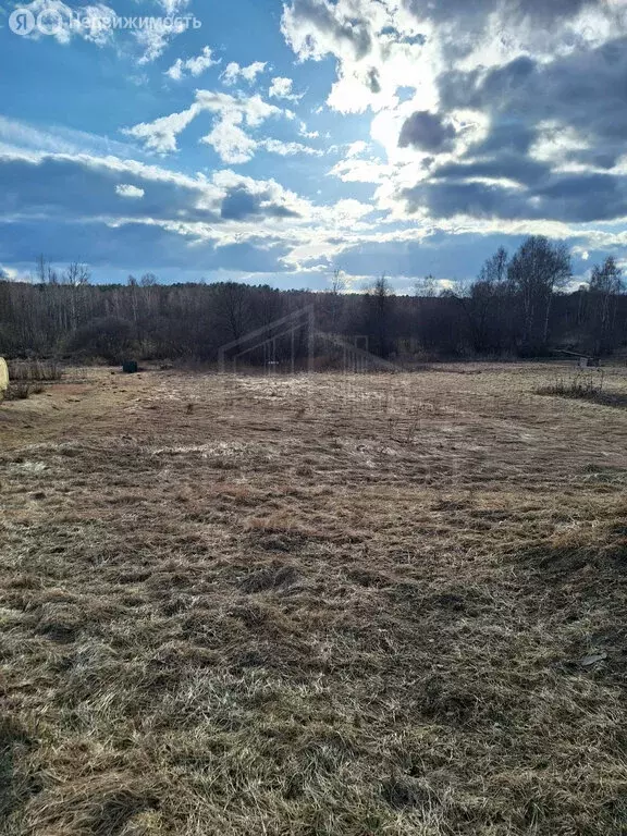 Участок в Сергиево-Посадский городской округ, деревня Бор (13 м) - Фото 1