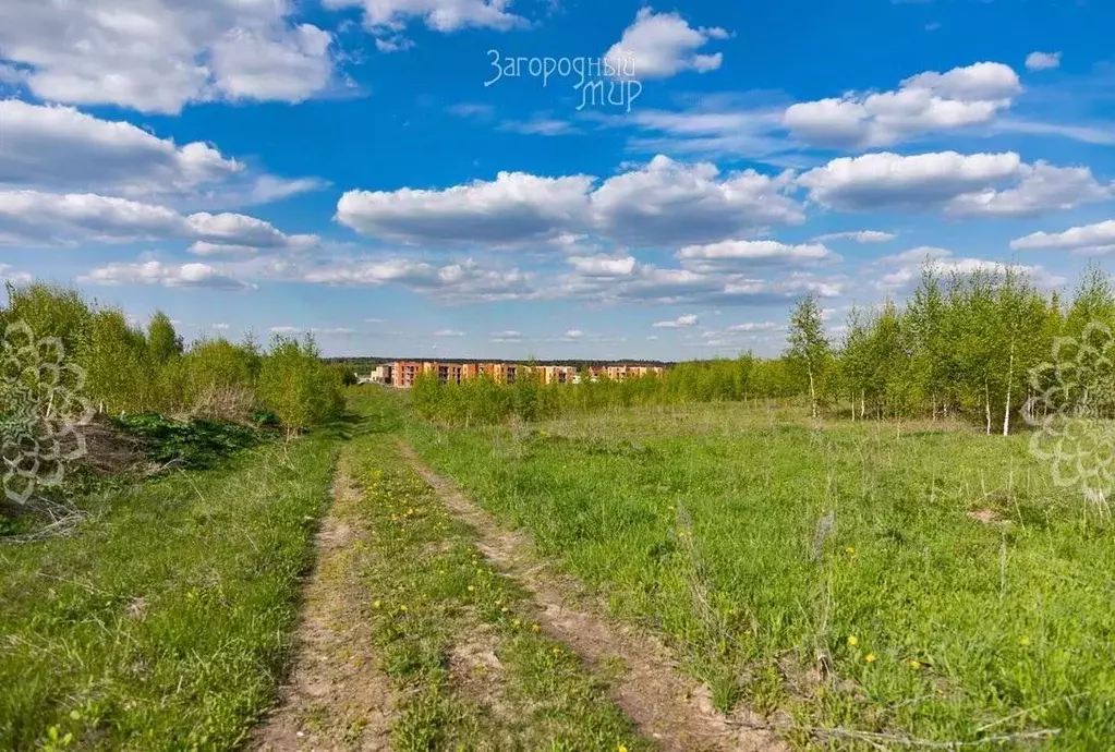 Участок в Московская область, Солнечногорск городской округ, д. ... - Фото 1