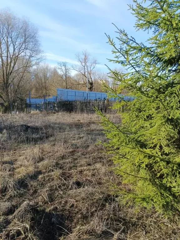 Участок в Тульская область, Щекинский район, Яснополянское с/пос, д. ... - Фото 1