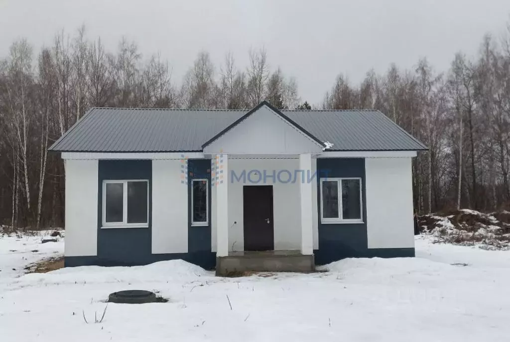 Дом в Нижегородская область, Богородский муниципальный округ, д. ... - Фото 1
