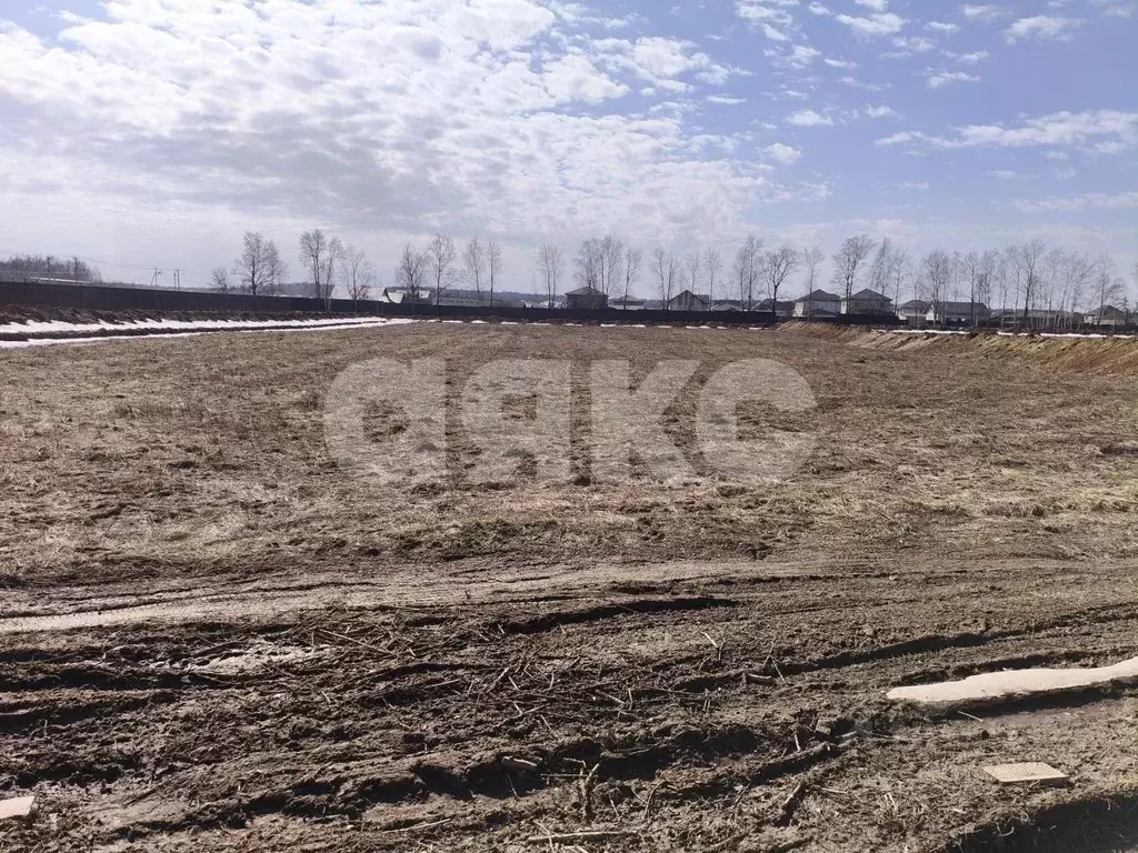 Участок в Московская область, Раменский муниципальный округ, Березовый ... - Фото 1