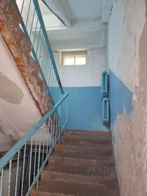 Помещение свободного назначения в Пермский край, Губаха ул. Суворова, ... - Фото 2