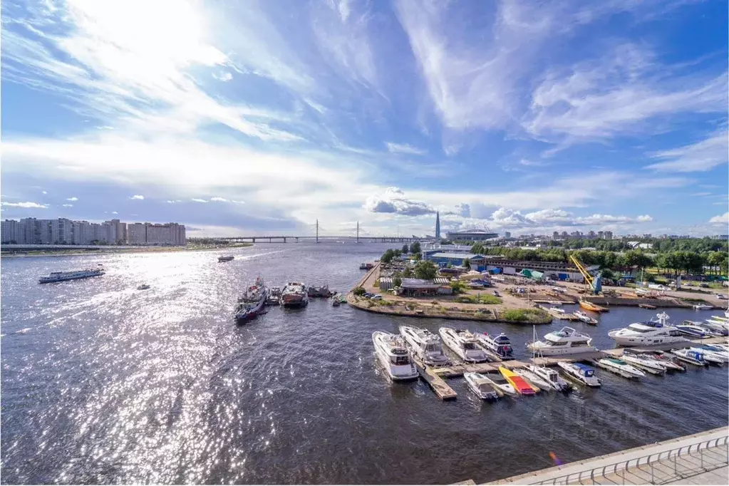 4-к кв. Санкт-Петербург Светлановский просп., 12к1 (223.0 м) - Фото 1