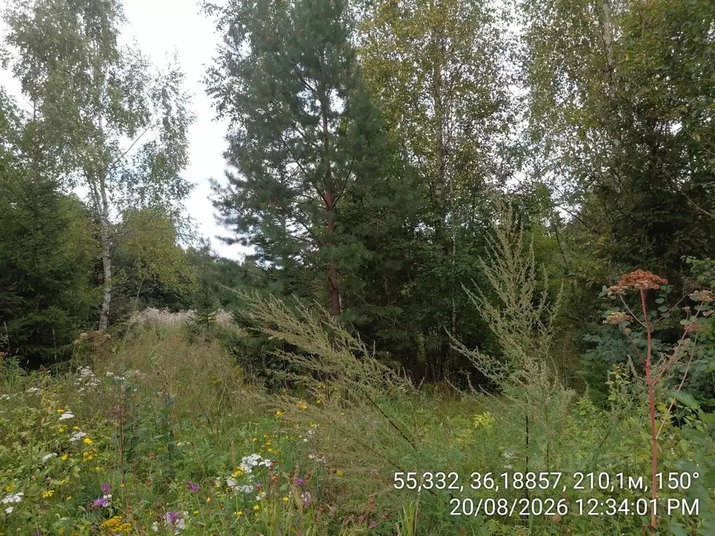 Участок в Московская область, Верея Наро-Фоминский городской округ,  ... - Фото 1