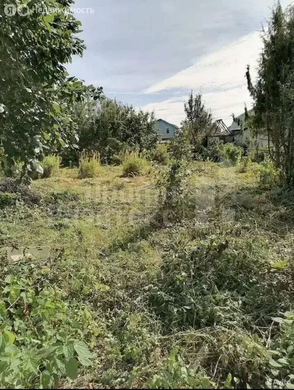 Участок в Нижний Новгород, садоводческое некоммерческое товарищество № ... - Фото 0