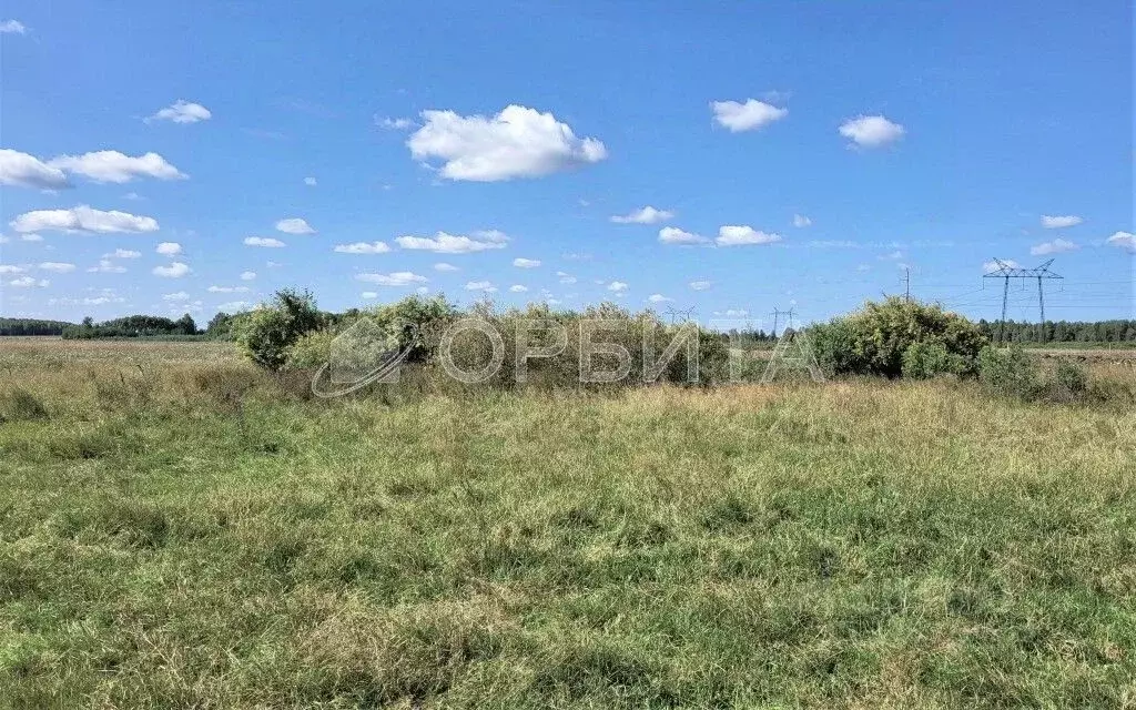 Участок в Тюменская область, Тюменский район, с. Щербак  (5.26 сот.) - Фото 1