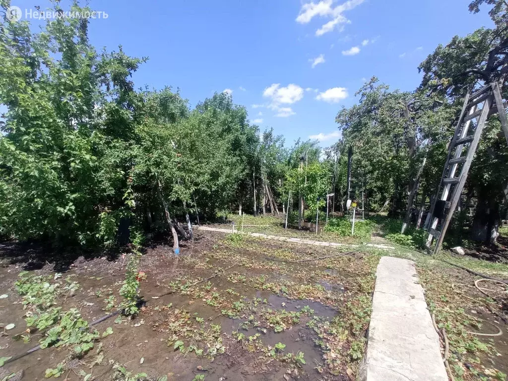 Снт Химик Волжский Купить Дачу