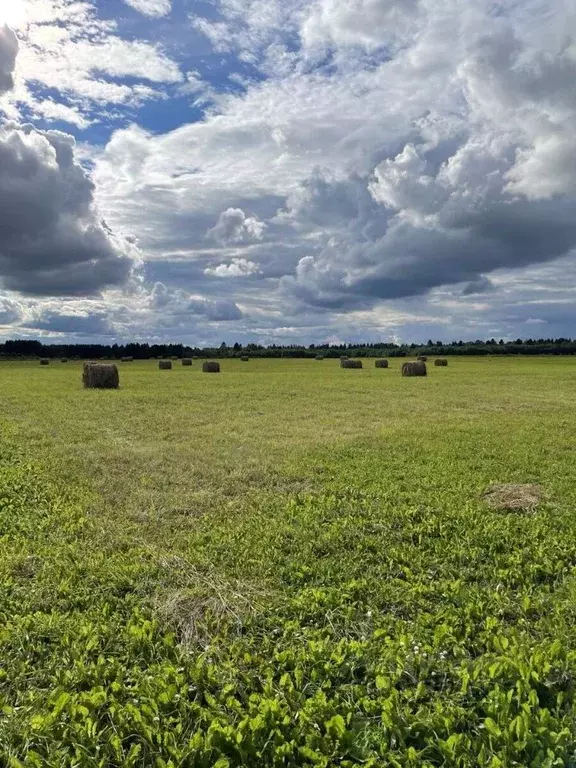 Участок в Тверская область, Удомельский муниципальный округ, пос. ... - Фото 2