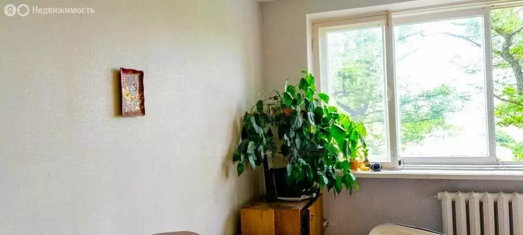 1к в 10-комнатной квартире (17 м) - Фото 2