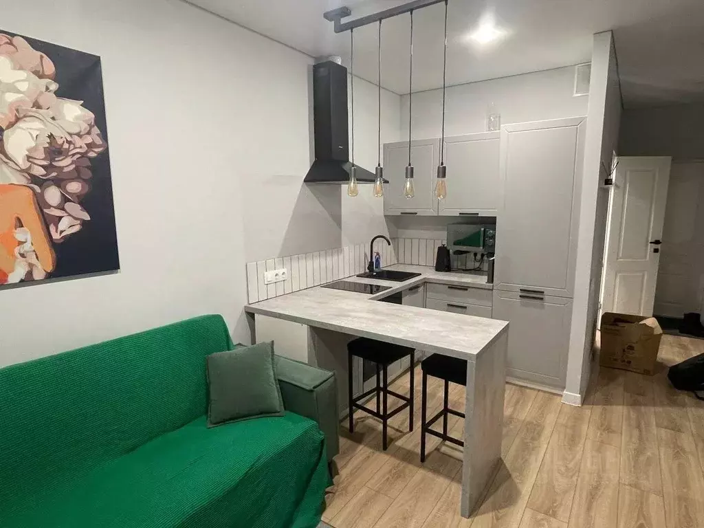 Студия Московская область, Ногинск Богородский городской округ, ул. ... - Фото 2