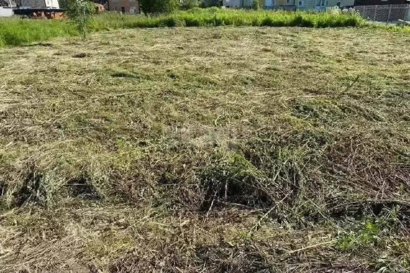 Участок в Ярославская область, Ярославский муниципальный округ, Новые ... - Фото 1