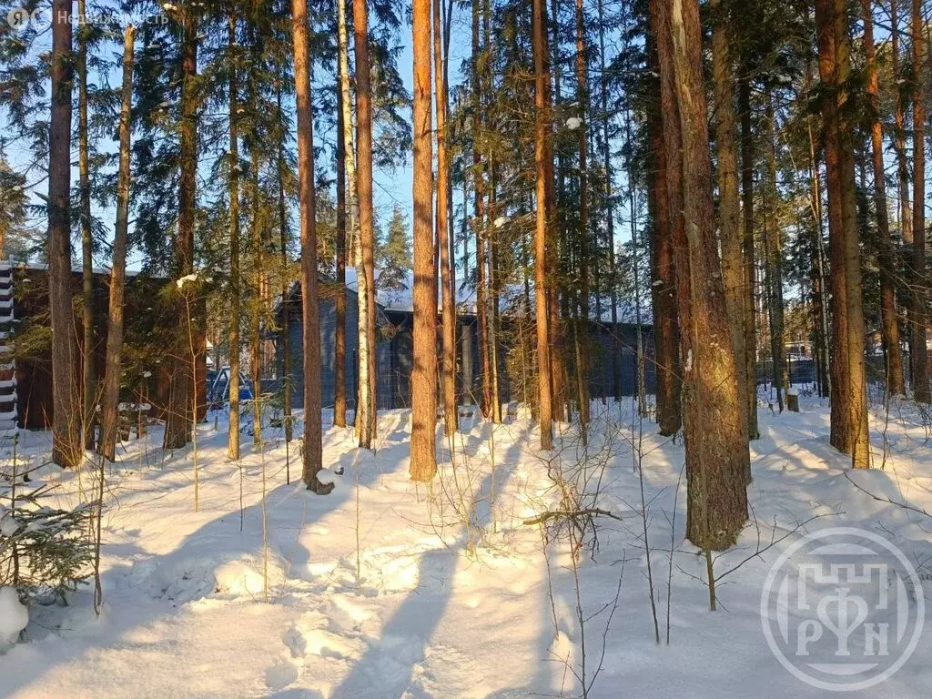 Участок в Сертоловское городское поселение, коттеджный посёлок ... - Фото 1