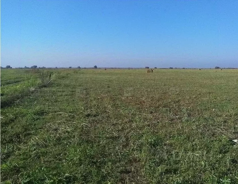 Участок в Татарстан, Лаишевский район, с. Татарский Янтык  (2664.0 ... - Фото 1