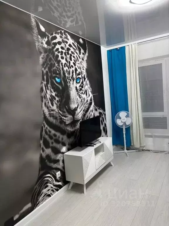 1-к кв. Псковская область, Псков Линейная ул., 85 (38.0 м) - Фото 0