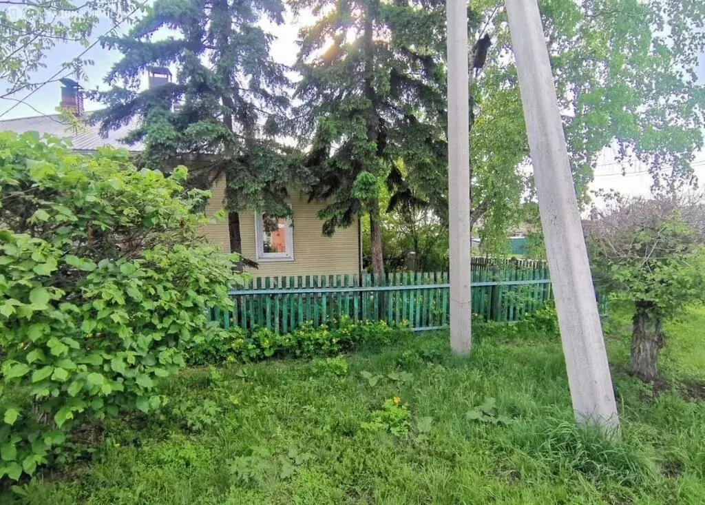 Дом в Абакан, Ширинская улица, 10 (90 м) - Фото 0