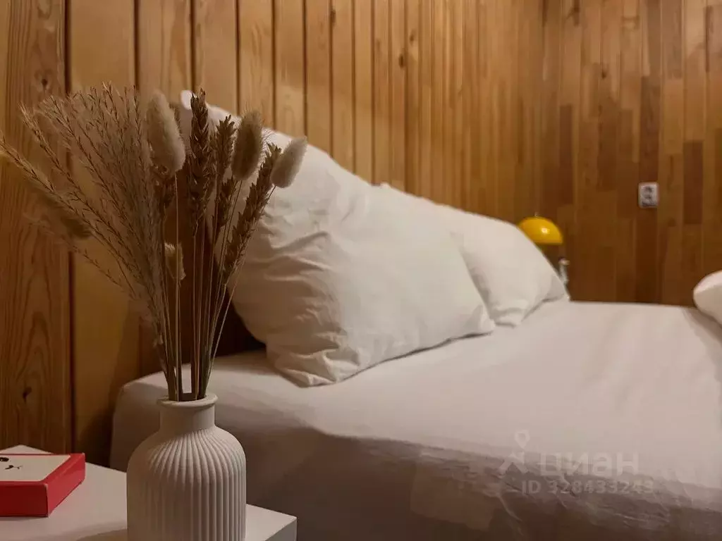 Дом в Бурятия, Прибайкальский район, с. Горячинск ул. Гагарина, 6 (80 ... - Фото 2