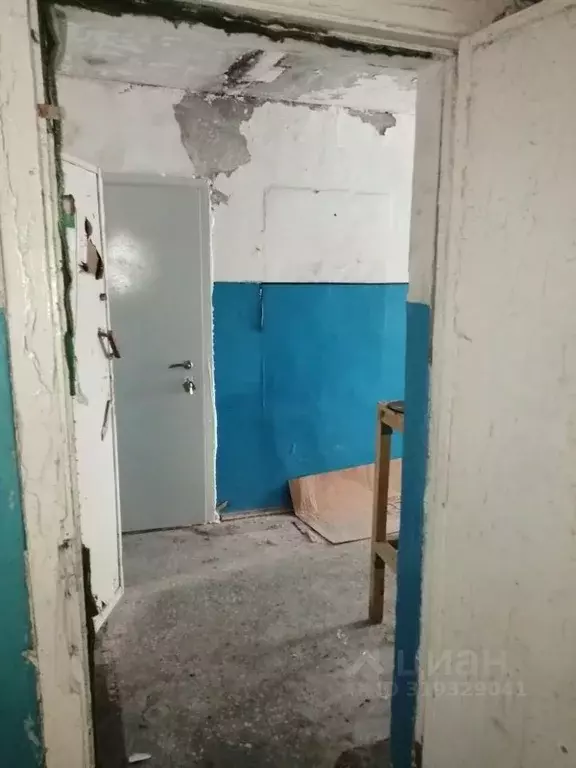 Помещение свободного назначения в Омская область, Шербакульский район, ... - Фото 1