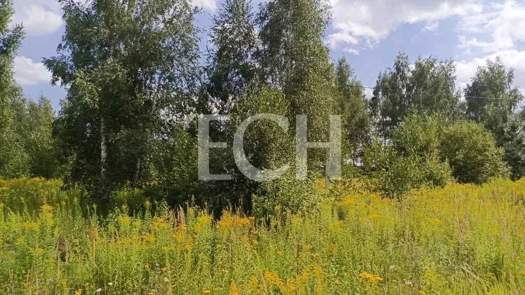 Участок в Тульская область, Тула ул. Богородицкая (8.0 сот.) - Фото 2