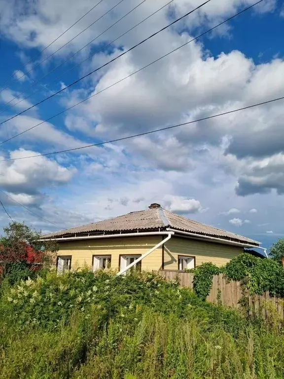Дом в Свердловская область, Алапаевский район, с. Толмачево  (52 м) - Фото 1