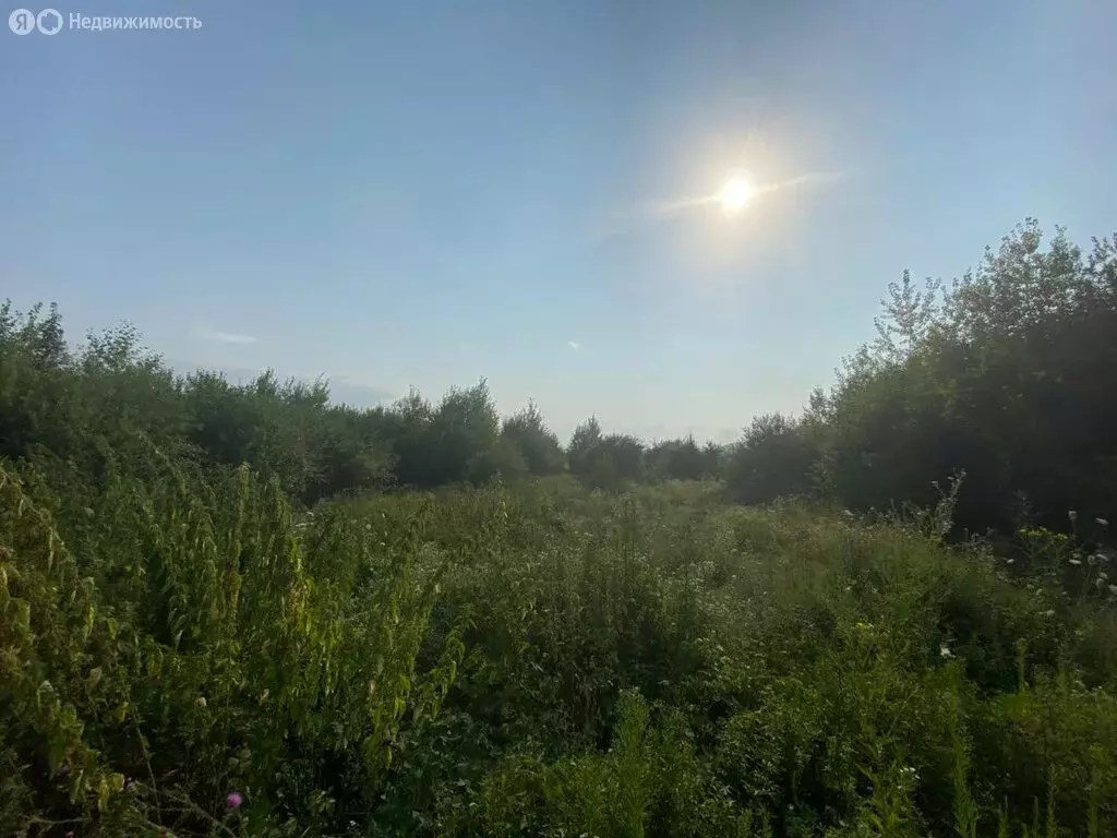 Участок в Белая Речка, улица Биттирова (11 м) - Фото 1