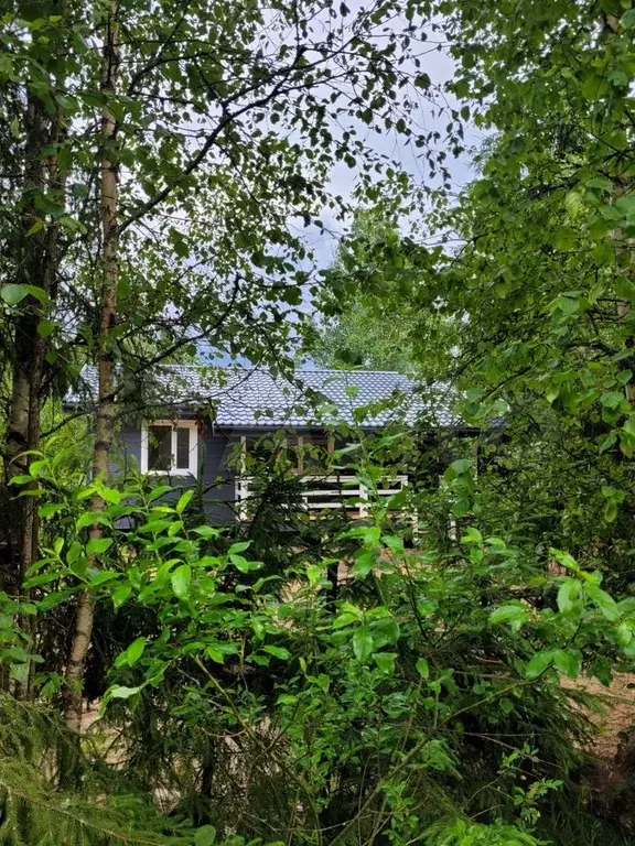 Дом 55 м на участке 6 сот. - Фото 0