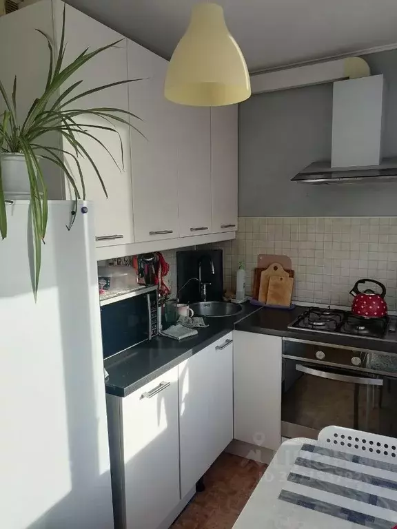 1-к кв. Санкт-Петербург просп. Славы, 35К1 (29.0 м) - Фото 2