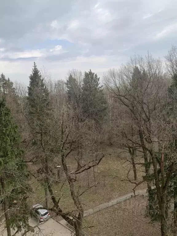 3-к кв. Московская область, Лосино-Петровский городской округ, ... - Фото 2