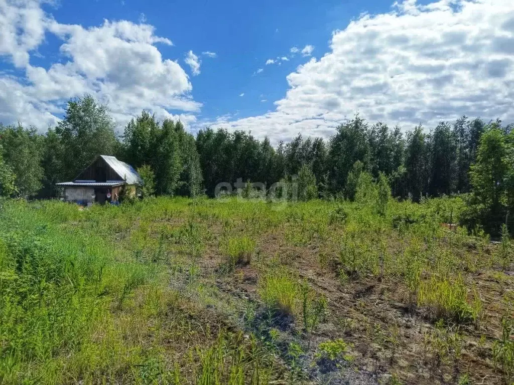 Участок в Ханты-Мансийский АО, Ханты-Мансийск Приозерный СОТ,  (10.1 ... - Фото 1