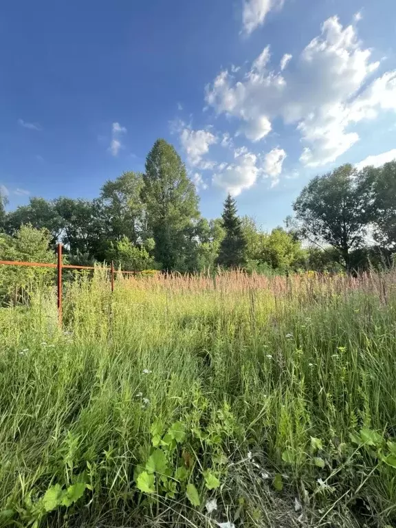 Дом в Пензенская область, Пенза  (20 м) - Фото 2