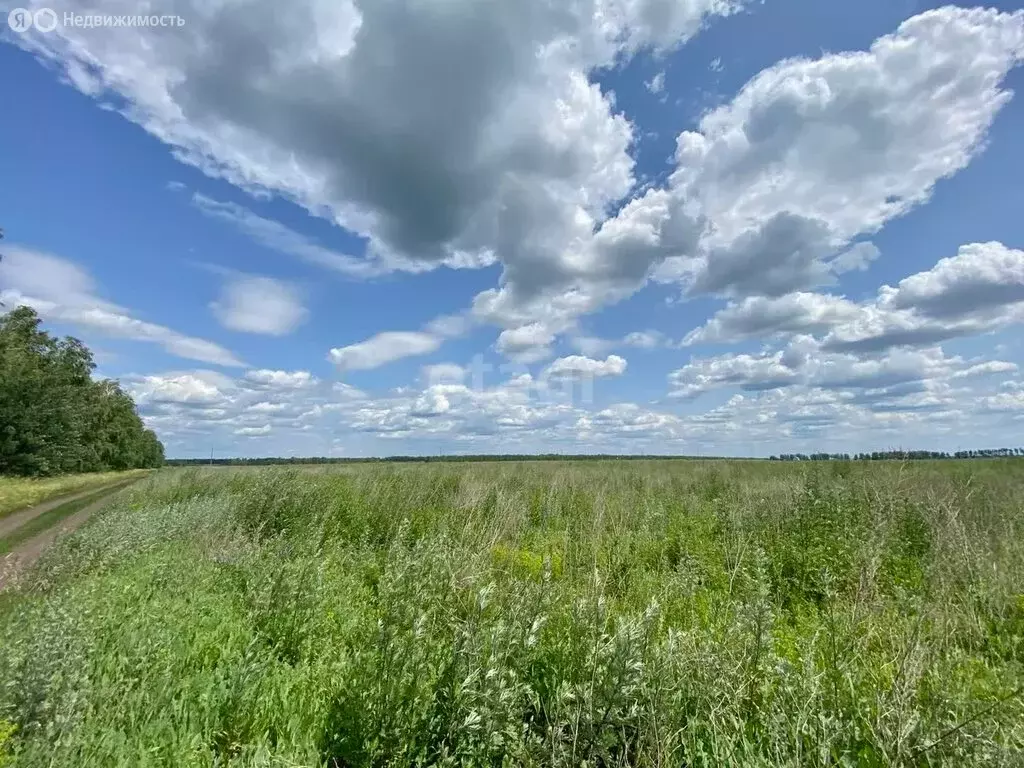 Участок в село Селезни, улица имени Герасима Павловича Приземлина (7.5 ... - Фото 1