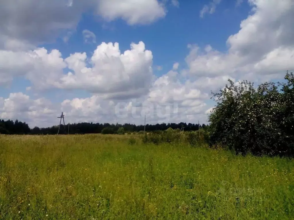 Участок в Ярославская область, Гаврилов-Ямский муниципальный округ, с. ... - Фото 2