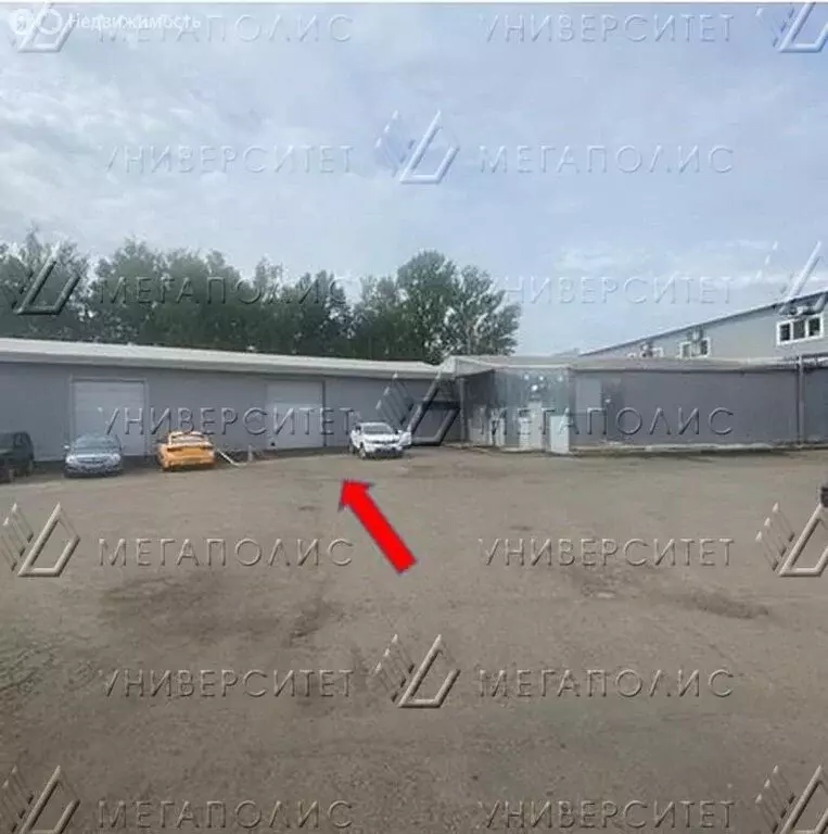 Помещение свободного назначения (320 м) - Фото 1