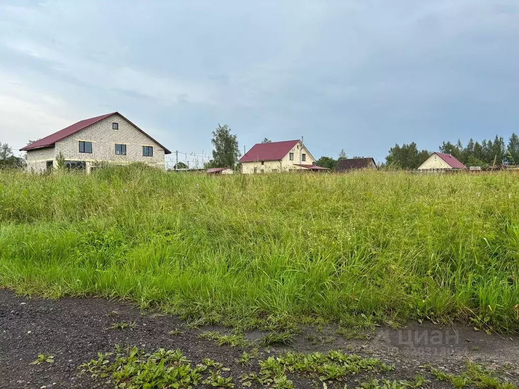 Участок в Ленинградская область, Кингисеппский район, Куземкинское ... - Фото 0