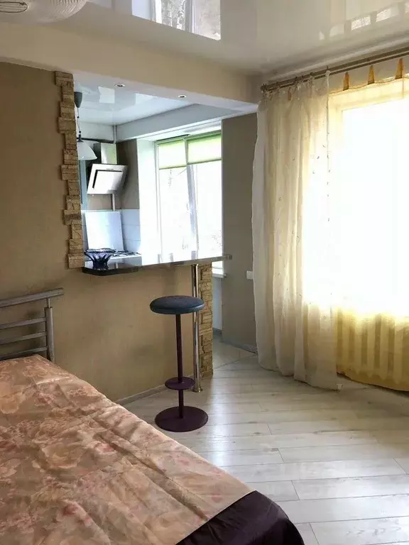 1-к кв. Санкт-Петербург просп. Космонавтов, 86К1 (30.0 м) - Фото 1