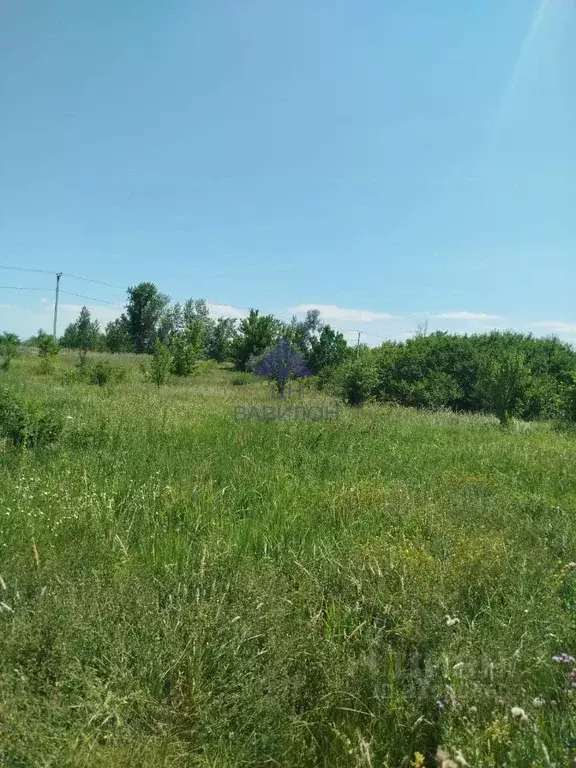 Участок в Ростовская область, Волгодонск В-Б кв-л,  (6.0 сот.) - Фото 0