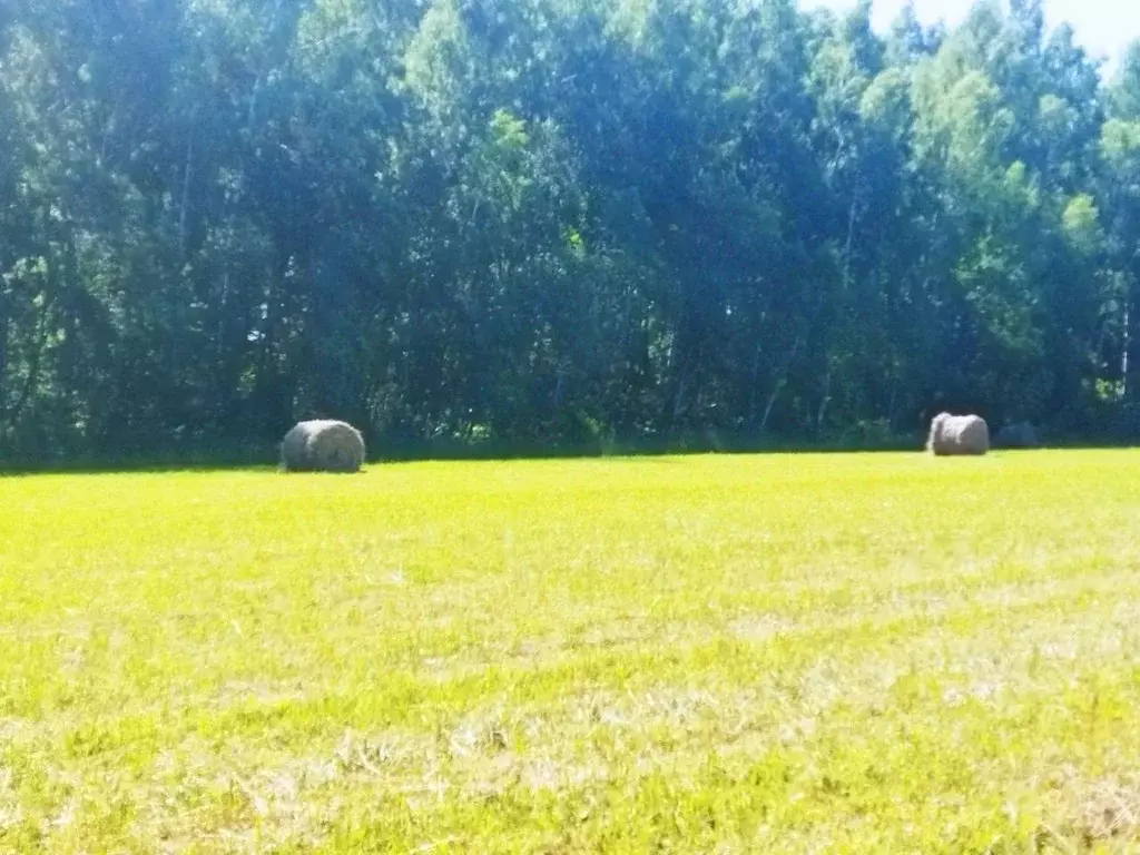 Участок в Тульская область, Ясногорский район, Иваньковское с/пос, д. ... - Фото 1