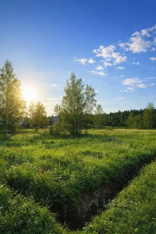 Участок в Московская область, Солнечногорск городской округ, д. Покров ... - Фото 1