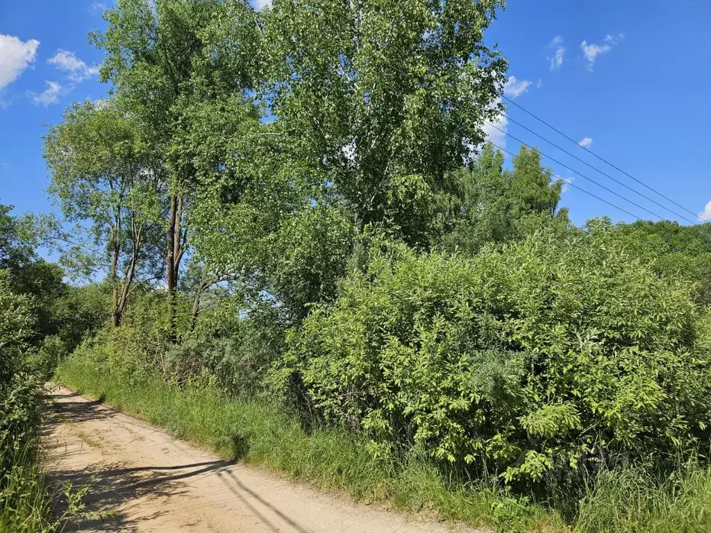 Участок в Московская область, Клин городской округ, д. Мужево ул. ... - Фото 1
