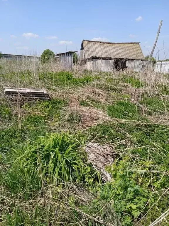 Участок в Башкортостан, Чишминский район, Енгалышевский сельсовет, д. ... - Фото 0