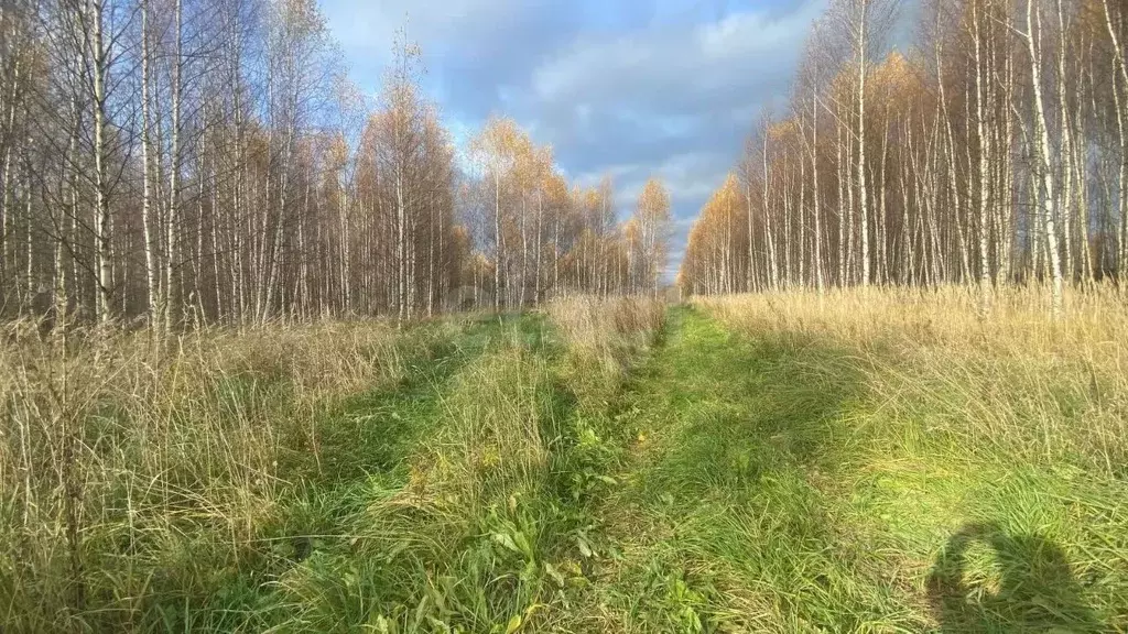 Участок в Костромская область, Костромской район, Минское с/пос, д. ... - Фото 0