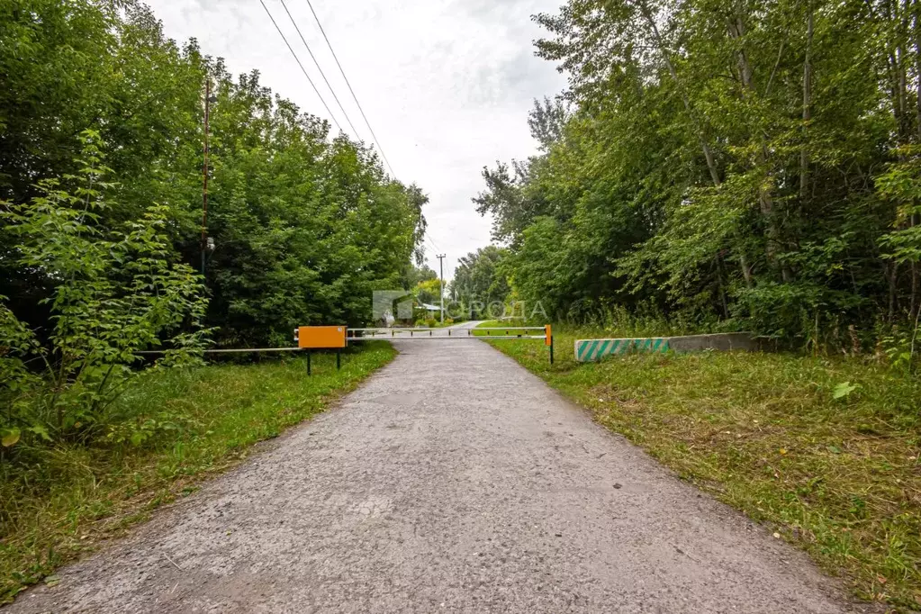 Участок в Новосибирская область, Искитимский район, Мичуринский ... - Фото 2