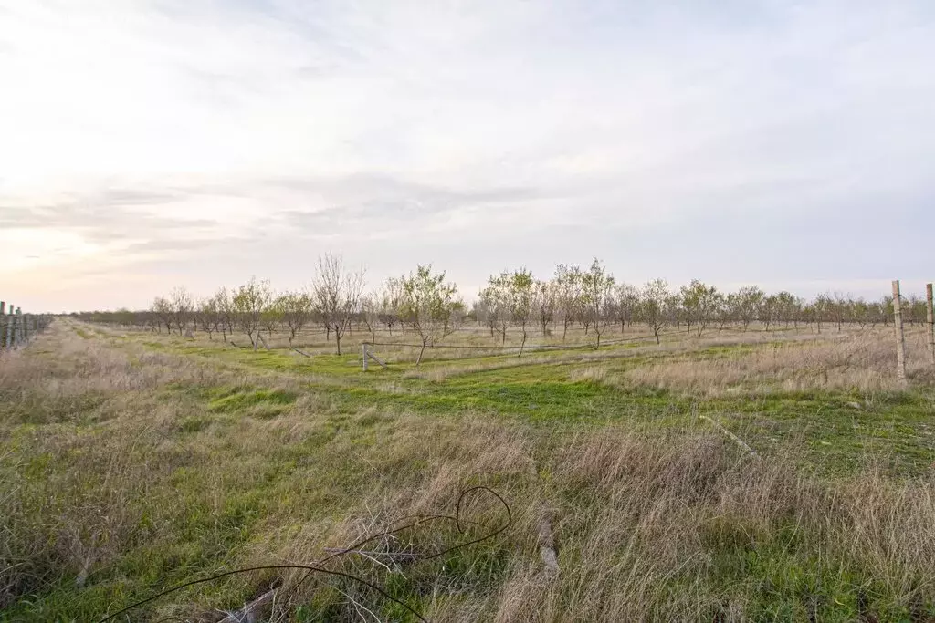 Участок в Бахчисарайский район, село Тенистое (305 м) - Фото 2