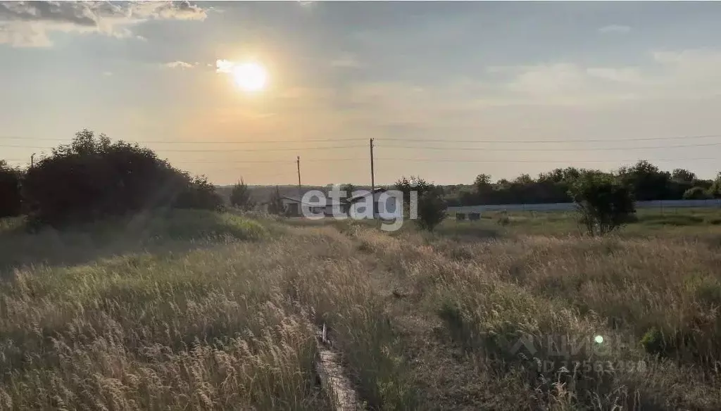 Участок в Воронежская область, Верхнехавский район, с. Малая ... - Фото 0