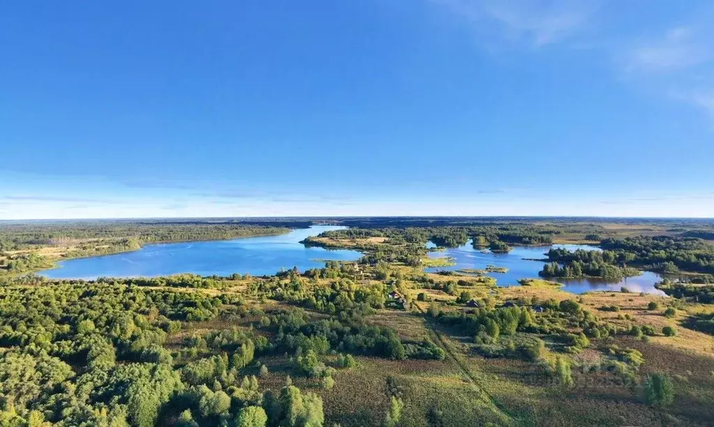 Участок в Тверская область, Вышний Волочек  (93.4 сот.) - Фото 1