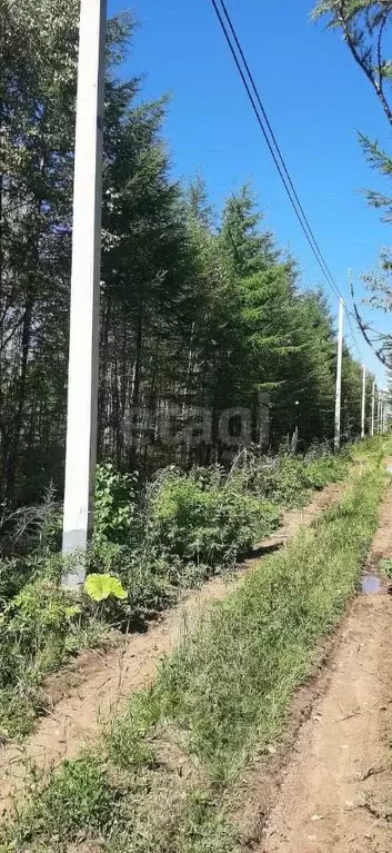 Участок в Сахалинская область, Южно-Сахалинск Здоровье СНТ,  (9.5 ... - Фото 0